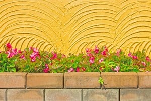 Esta especie ornamental puede mantenerse florecida durante gran parte del año con pocos cuidados.