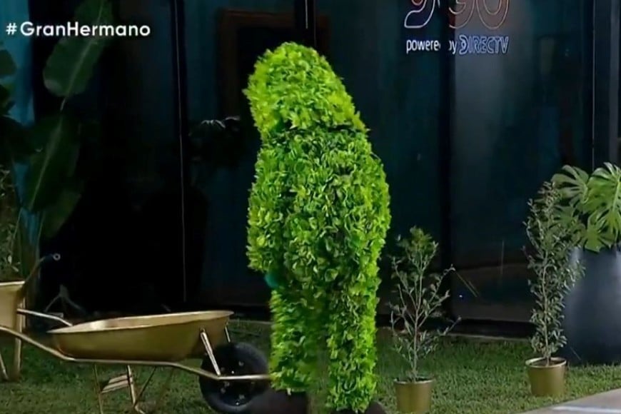 La casa de GH se llena de plantas