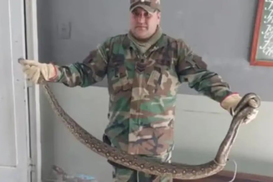 La Policía Rural logró capturar al reptil para devolverlo a su habitat.