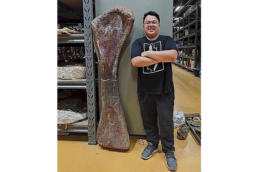 El investigador Thitiwoot Sethapanichsakul posó con un hueso de la pata delantera del nagatitan.