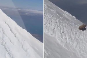 El oso fue registrado desde un helicóptero mientras descansaba en una montaña nevada de Alaska.
