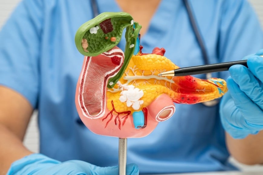 Un nuevo estudio clínico internacional encendió expectativas entre médicos e investigadores