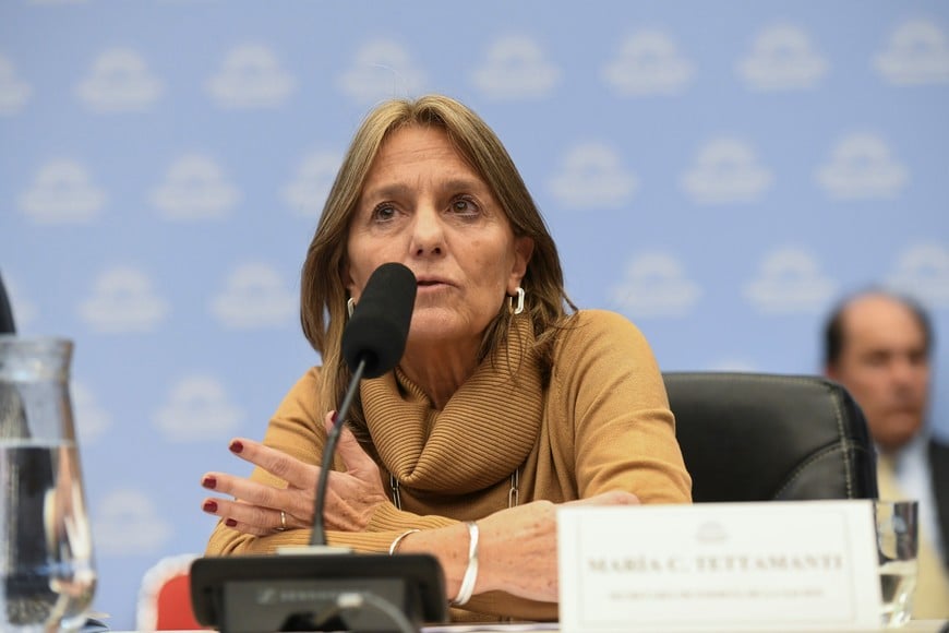 María Tettamanti secretaria de Energía de la Nación