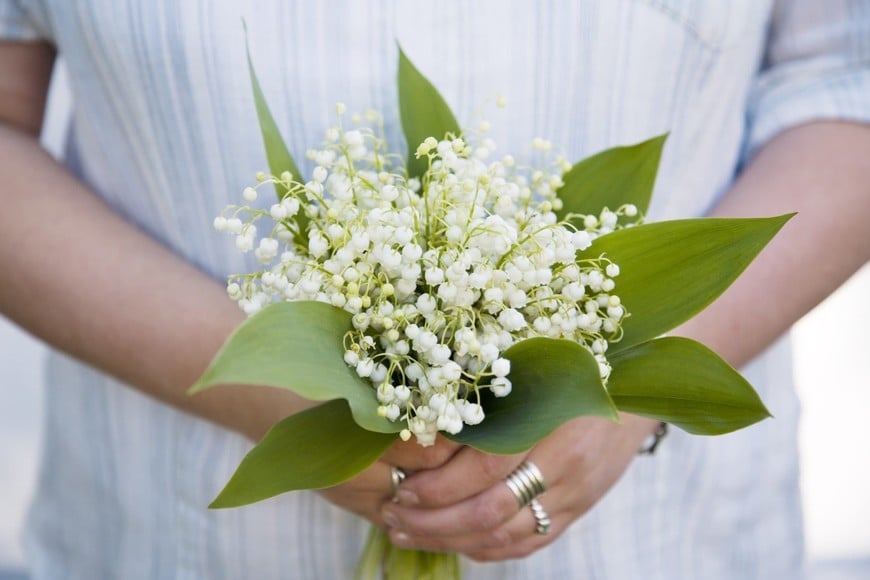 Los ramitos de muguet -o lirio del valle- son pequeños ramos de flores blancas, acampanadas y muy aromáticas, tradicionales en Francia para el 1° de Mayo. Simbolizan la buena suerte y la felicidad.