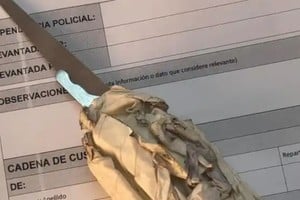 El arma secuestrada.