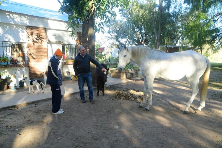 El contacto con animales es muchas veces terapéutico para estas personas. Guillermo Di Salvatore.