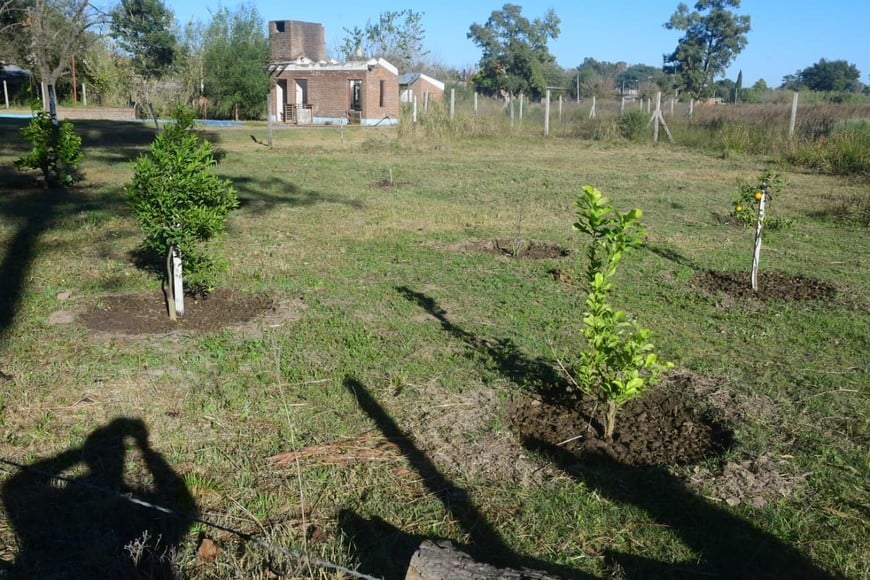 Obra vista del parque. Guillermo Di Salvatore.