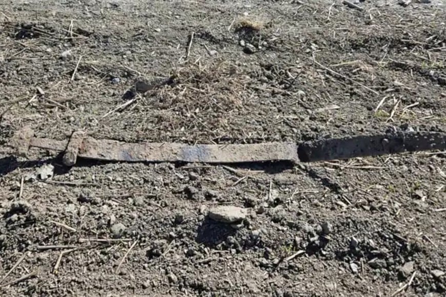 El hallazgo se produjo durante una actividad escolar en un campo de Innlandet.