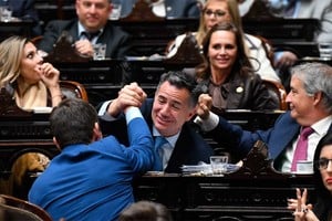 El oficialismo libertario busca retrotraer un esquema de subsidios en materia energética.