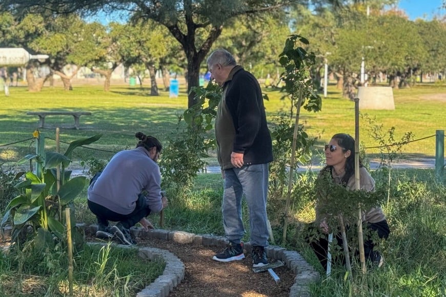 La actividad fue organizada por el Programa de Documentación, Conservación y Valoración de la Flora Nativa (Prodocova)