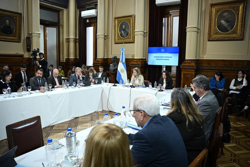 El proyecto obtuvo dictamenes de comisión, con algunas modificaciones.
