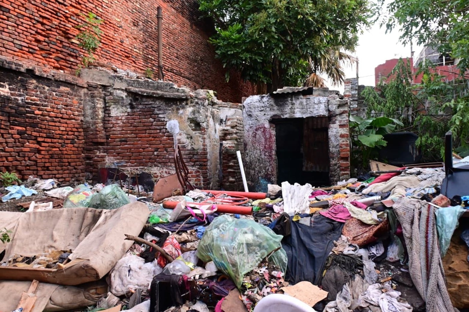 El interior de la vivienda. 