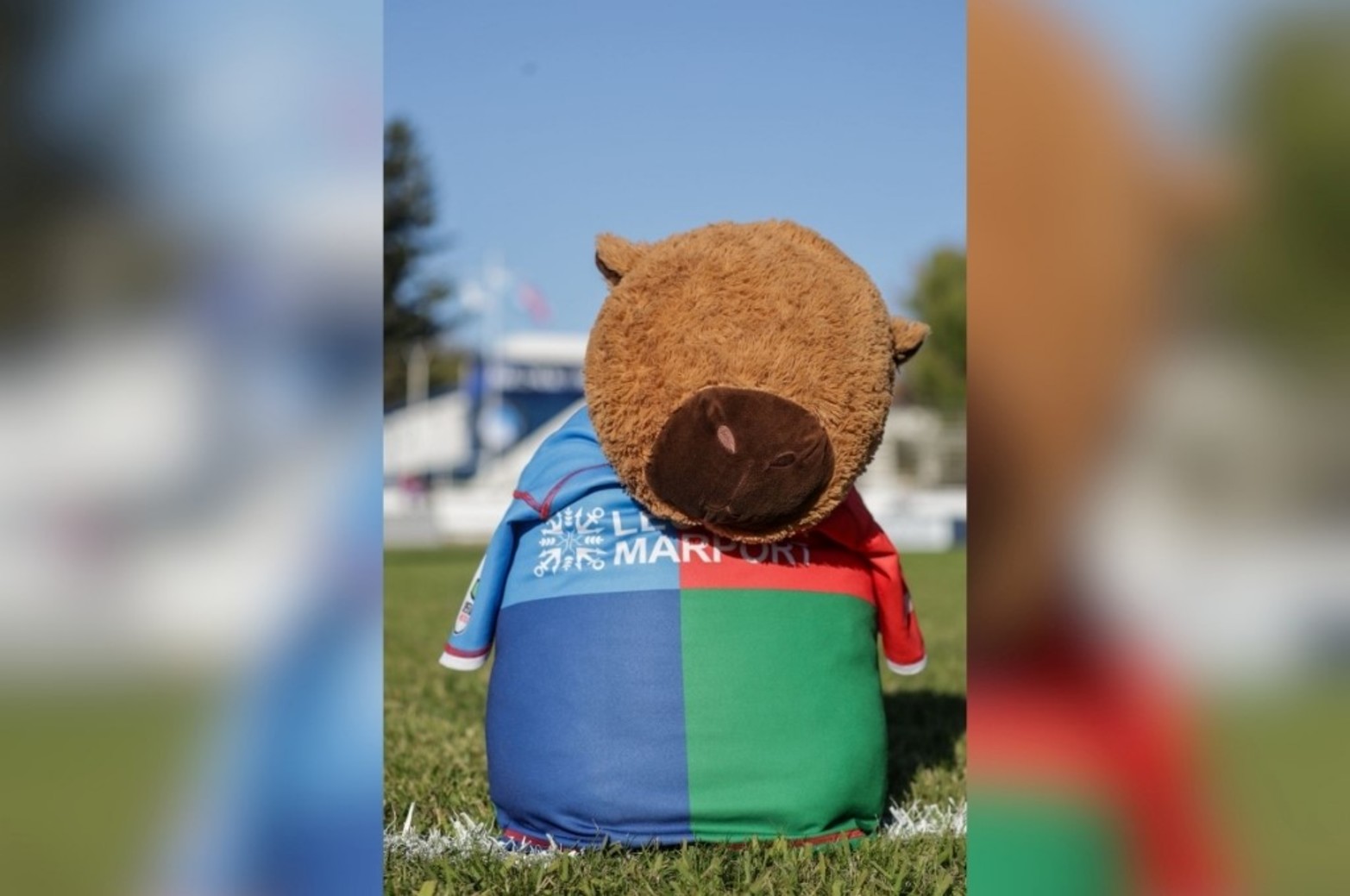 La mascota de Capibaras y su camiseta a medida