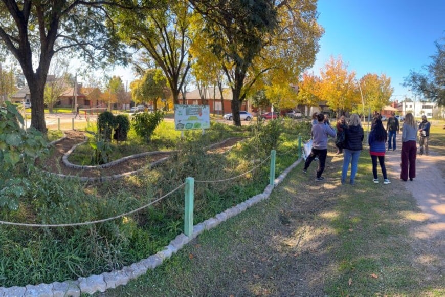 La actividad fue organizada por el Programa de Documentación, Conservación y Valoración de la Flora Nativa (Prodocova)