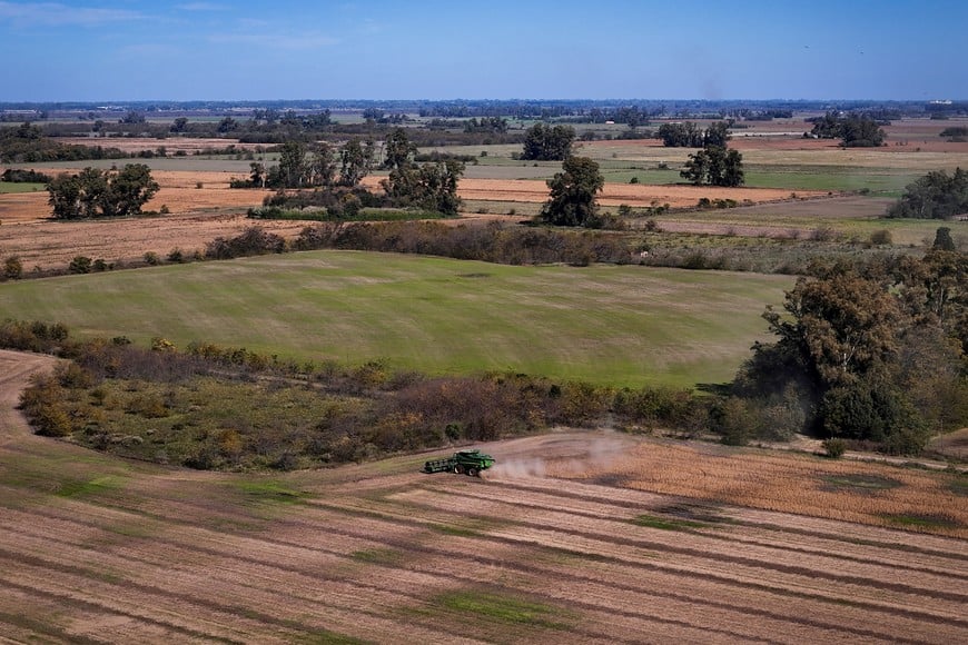 A drone view shows a harvester working in a soybean plantation in San Andres de Giles, on the outskirts of Buenos Aires, Argentina, May 12, 2025. REUTERS/Martin Cossarini