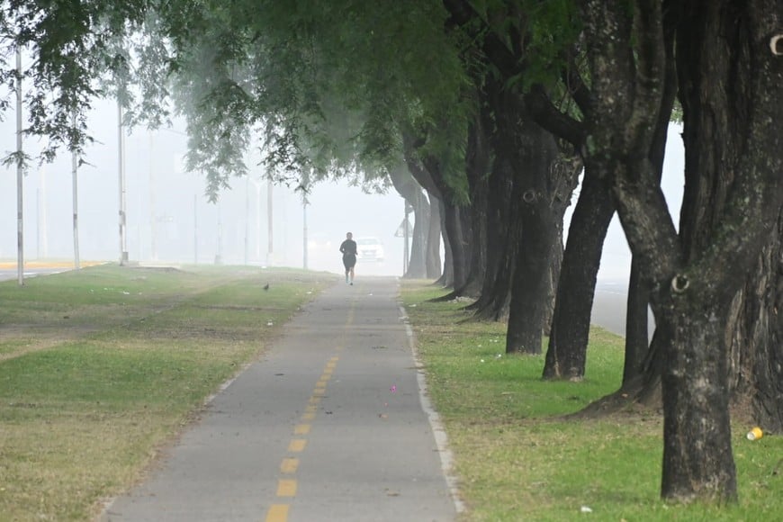 Lunes con neblina en la ciudad de Santa Fe Créditos: Flavio Raina