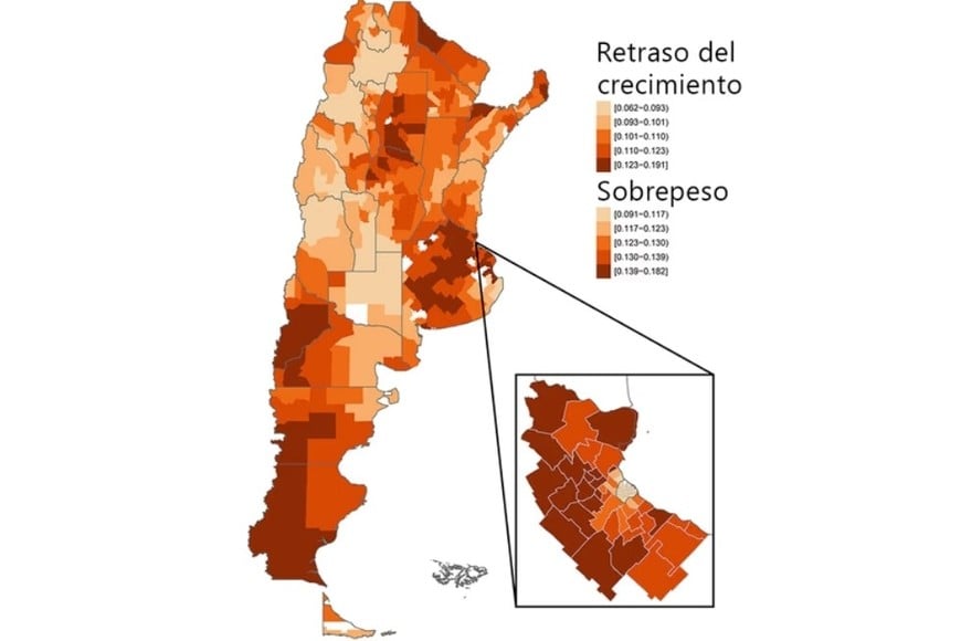 Retraso del Crecimiento