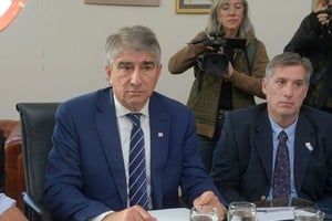 Bastia y Olivares firmantes del decreto y autorizados a dictar nuevas actualizaciones.