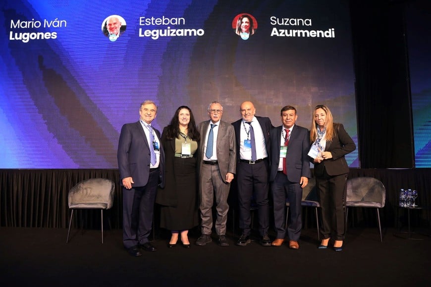 El anuncio fue realizado en la apertura de la VII Ministerial Meeting organizada por la Global Stroke Alliance. El Litoral.