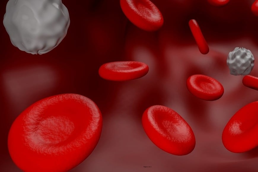 sangre