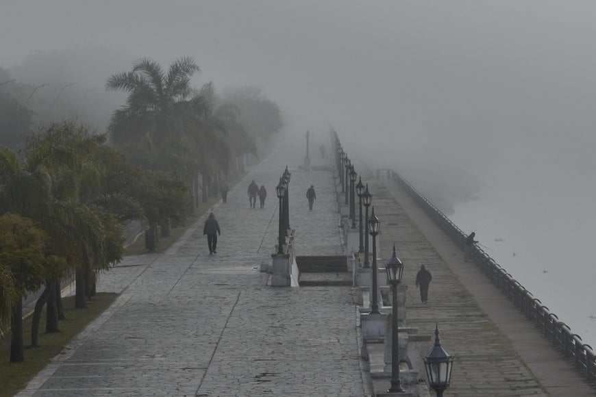 Neblina Créditos:Fernando Nicola