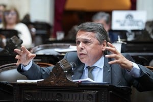Diego Giuliano, eleboró un proyectó proyecto con el pedido de dejar sin efecto la Resolución 28/2026.