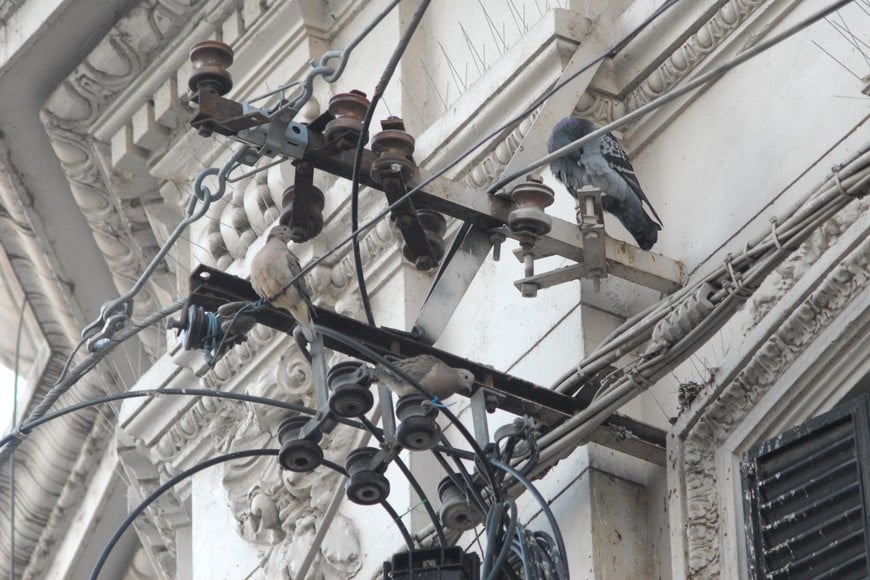 Cables que ya no se utilizan, sobre la Peatonal. Flavio Raina.