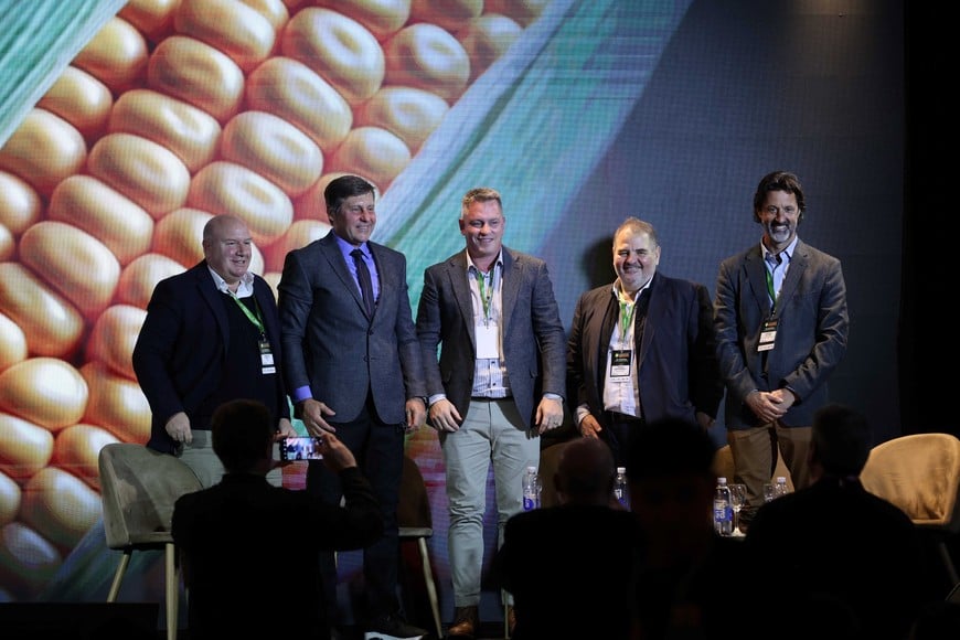 Maíz: las cadenas de proteína animal reclaman más industrialización y mejores condiciones para crecer