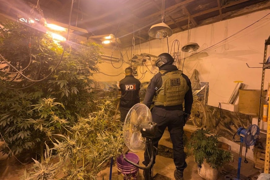 En el lugar funcionaba un vivero narco. Foto: El Litoral