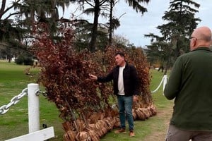 San Lorenzo puso en marcha un importante plan de reforestación en el Campo de la Gloria
