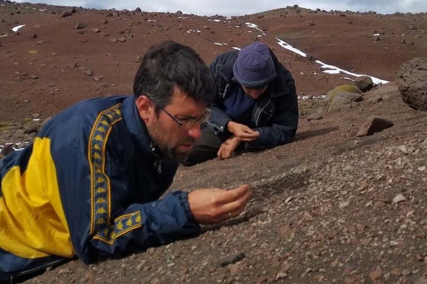 Los restos fósiles fueron hallados en la Formación Chorrillo, una zona ubicada en las cercanías de El Calafate