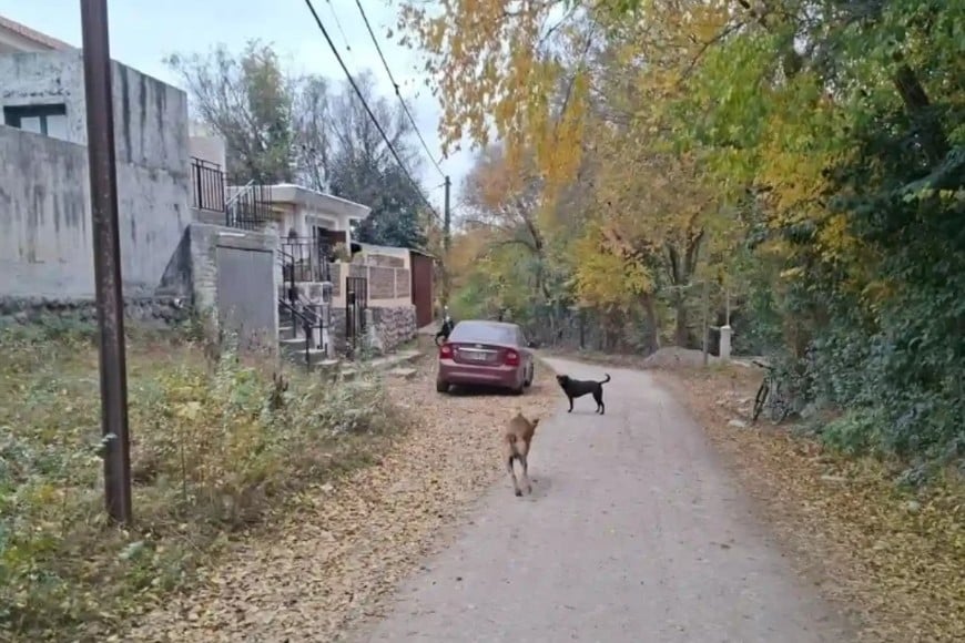 La zona donde ocurrió el hallazgo no registra antecedentes recientes de denuncias vinculadas con desapariciones