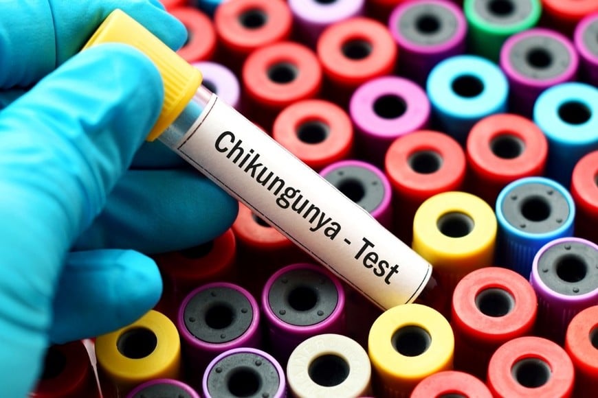 El momento de mayor circulación viral se registró durante la semana epidemiológica 16