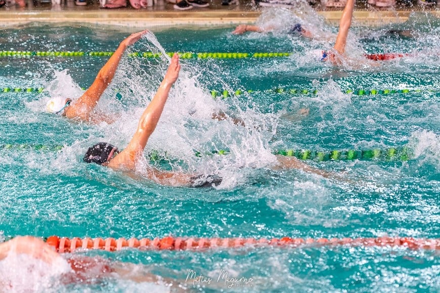 copa santa fe natacion