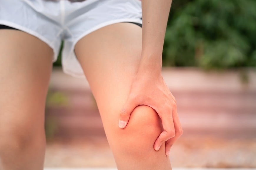 rodilla