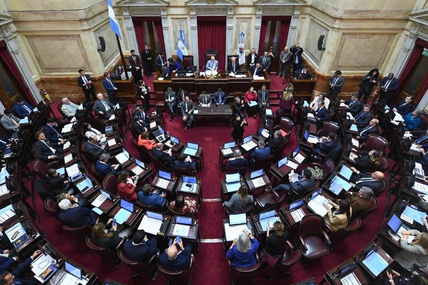 senado