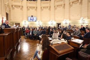 El jefe de la bancada de la UCR en la Cámara alta tomó un texto del representante del Senado -también muy crítico del maltrato y abusos del presidente Javier Milei para con los periodistas- y concluyó con unas reflexiones históricas suyas -muy actuales- sobre el trabajo periodístico y la libertad de expresión. Crédito: Guillermo Di Salvatore