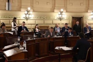 Propuestas de homenaje a figuras locales destacan en el senado.