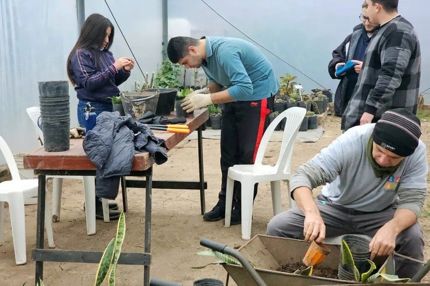 El Vivero Inclusivo "Hojitas Verdes" suma herramientas y fortalece su producción
