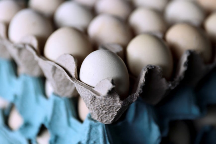 Eggs are placed in boxes as Brazil's egg exports soar amid stronger U.S. demand, in Porto Alegre, Rio Grande do Sul, Brazil, March 11, 2025. REUTERS/Diego Vara