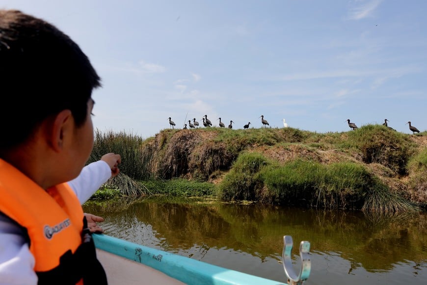 (260122) -- LIMA, 22 enero, 2026 (Xinhua) -- Imagen del 21 de enero de 2026 de un niño señalando aves durante un recorrido en bote por el humedal Pantanos de Villa como parte de los Talleres de Verano 2026, en el distrito de Chorrillos, en el departamento de Lima, Perú. Niñas y niños de Perú son instruidos sobre la importancia de la naturaleza y la protección de la flora y la fauna, a través de talleres realizados en el humedal Pantanos de Villa, ubicado en el distrito de Chorrillos, en el departamento de Lima, donde se encuentra la capital peruana. (Xinhua/Mariana Bazo) (mb) (jg) (ah) (vf)