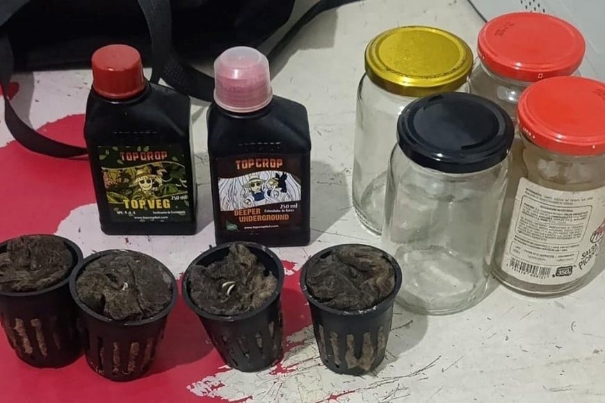 secuestro marihuana dpto céntrico santa fe