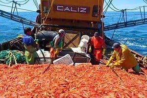 Los buques fresqueros lograron un leve aumento del 3,1% en abril, contrastando con la caída del 42,1% de los congeladores en el mismo periodo.