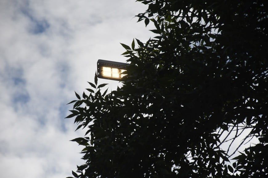 Desde el municipio resaltaron también la importancia que tiene despejar las zonas de iluminación con la poda de árboles.

Guillermo Di Salvatore.