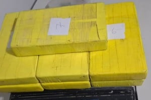 Los siete ladrillos decomisados. Fotografía Policía Bonaerense.