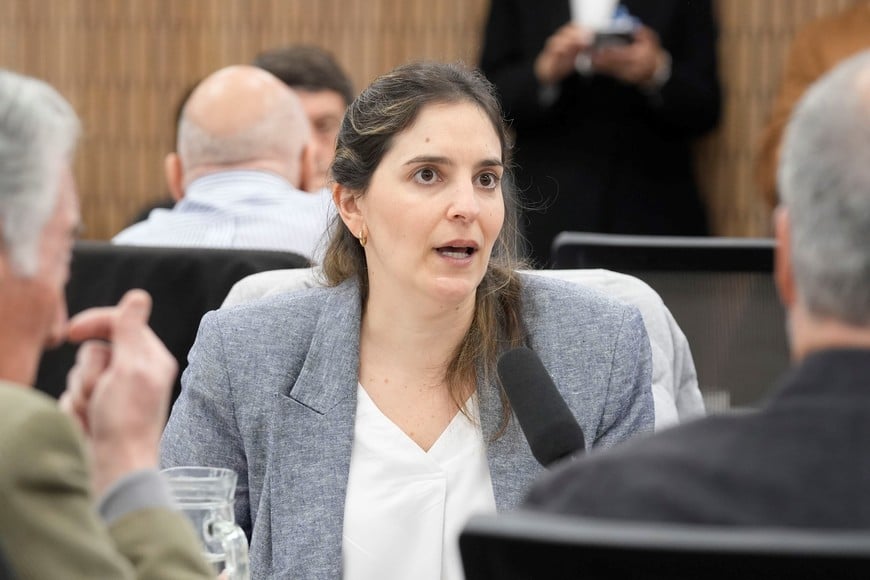 María Laura Bermúdez