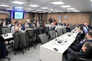 Representantes de la UIA y CAME alertaron sobre la crisis del sector en el Congreso, destacando el costo de producción, el impacto de la apertura comercial y la pérdida de empleo.