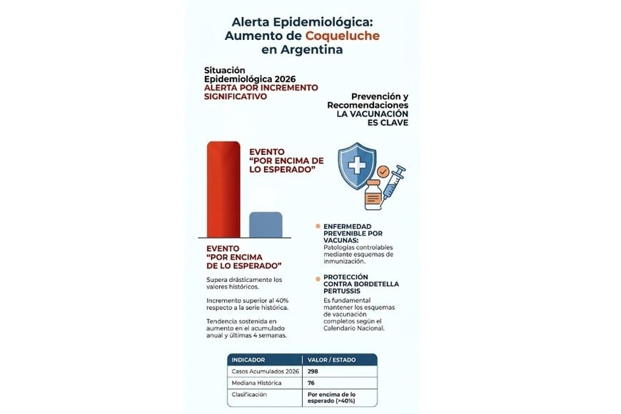 Qué dice el boletín