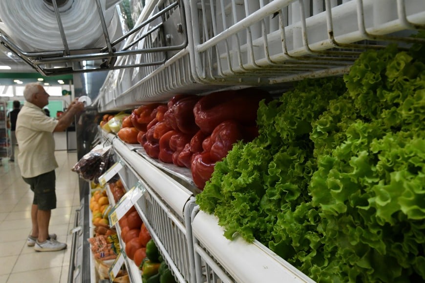 lechuga alimentos comida