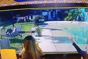 Las imágenes son virales.